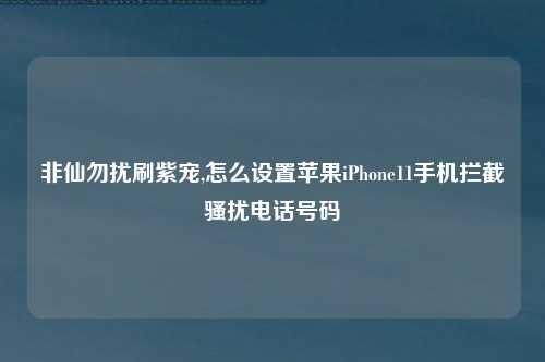 非仙勿扰刷紫宠,怎么设置苹果iPhone11手机拦截骚扰电话号码