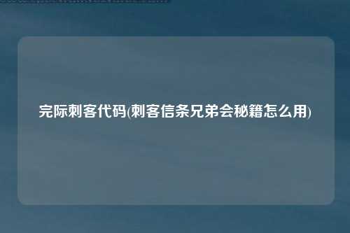 完际刺客代码(刺客信条兄弟会秘籍怎么用)