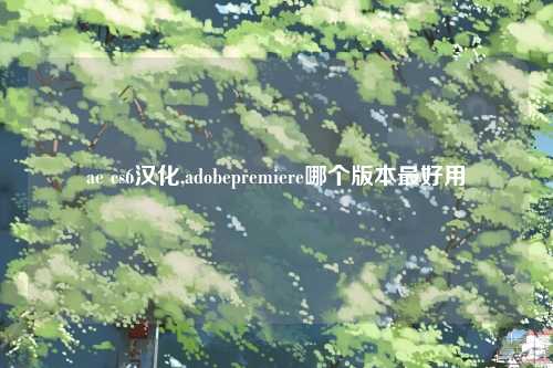 ae cs6汉化,adobepremiere哪个版本最好用