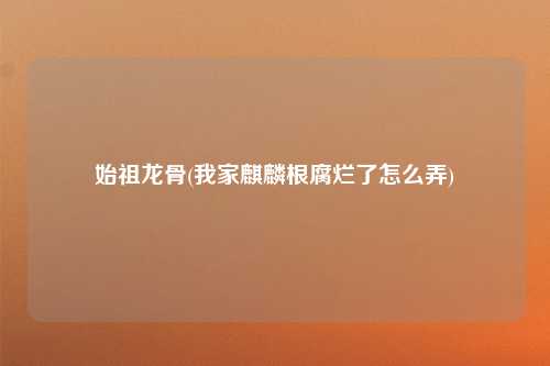 始祖龙骨(我家麒麟根腐烂了怎么弄)