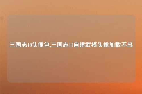 三国志10头像包,三国志11自建武将头像加载不出