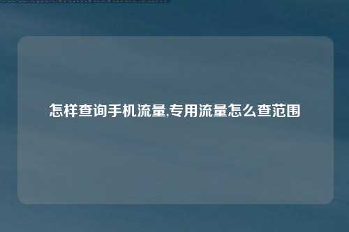 怎样查询手机流量,专用流量怎么查范围