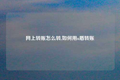 网上转账怎么转,如何用u盾转账