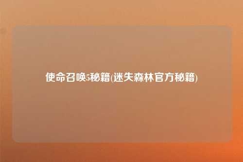 使命召唤5秘籍(迷失森林官方秘籍)