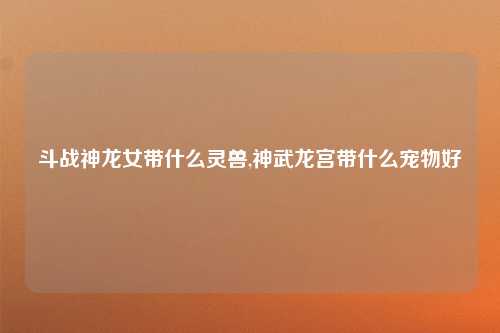 斗战神龙女带什么灵兽,神武龙宫带什么宠物好