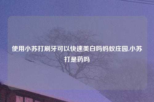 使用小苏打刷牙可以快速美白吗蚂蚁庄园,小苏打是药吗