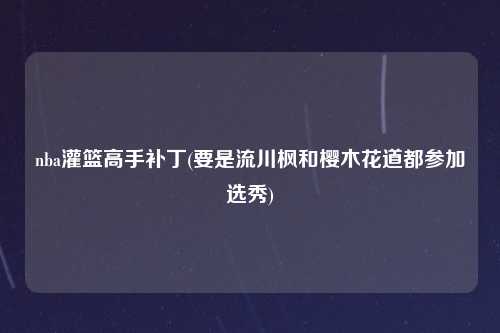 nba灌篮高手补丁(要是流川枫和樱木花道都参加选秀)