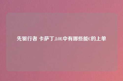 先驱行者 卡萨丁,LOL中有哪些能C的上单