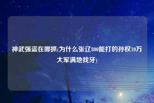 神武强盗在哪抓(为什么张辽800能打的孙权10万大军满地找牙)