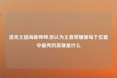 洛克王国海豚帅帅,你认为王者荣耀里每个位置中最秀的英雄是什么