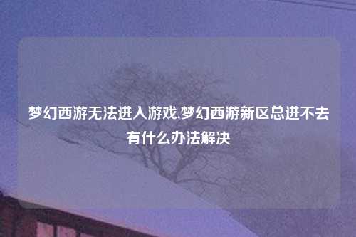 梦幻西游无法进入游戏,梦幻西游新区总进不去有什么办法解决