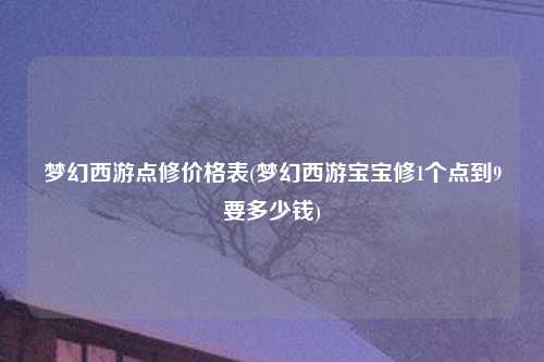 梦幻西游点修价格表(梦幻西游宝宝修1个点到9要多少钱)