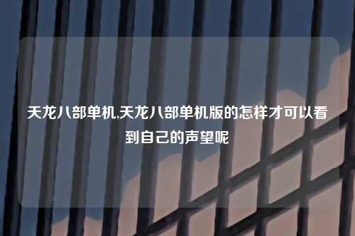 天龙八部单机,天龙八部单机版的怎样才可以看到自己的声望呢