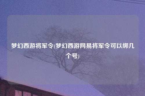 梦幻西游将军令(梦幻西游网易将军令可以绑几个号)