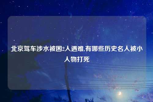 北京驾车涉水被困2人遇难,有哪些历史名人被小人物打死