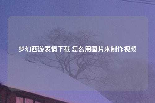 梦幻西游表情下载,怎么用图片来制作视频