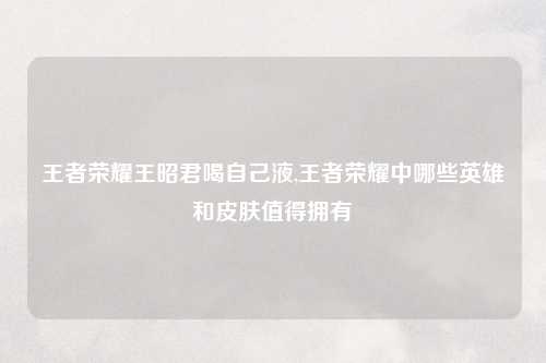 王者荣耀王昭君喝自己液,王者荣耀中哪些英雄和皮肤值得拥有