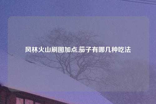风林火山刷图加点,茄子有哪几种吃法