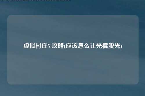 虚拟村庄5 攻略(应该怎么让光棍脱光)