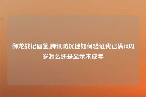 御龙战记图鉴,腾讯防沉迷如何验证我已满18周岁怎么还是显示未成年
