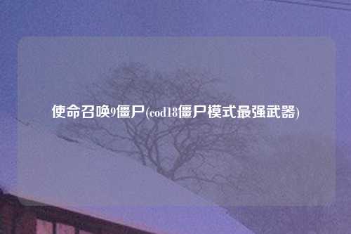 使命召唤9僵尸(cod18僵尸模式最强武器)