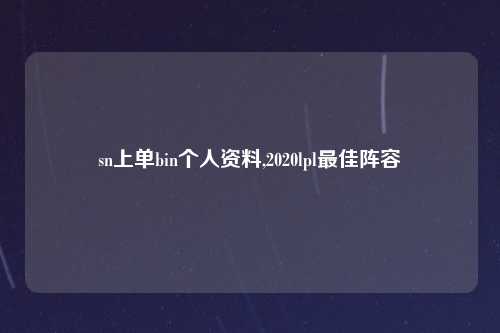sn上单bin个人资料,2020lpl最佳阵容