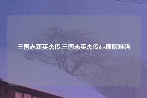 三国志新英杰传,三国志英杰传dos原版难吗