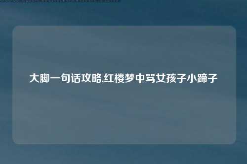 大脚一句话攻略,红楼梦中骂女孩子小蹄子