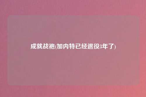 成就战袍(加内特已经退役3年了)