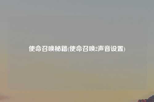 使命召唤秘籍(使命召唤2声音设置)