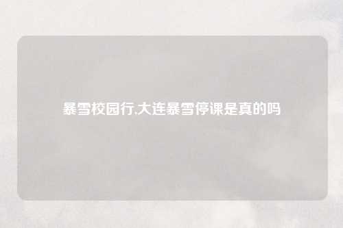 暴雪校园行,大连暴雪停课是真的吗