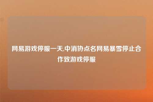 网易游戏停服一天,中消协点名网易暴雪停止合作致游戏停服