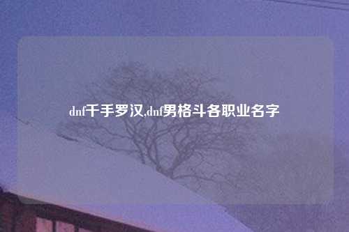 dnf千手罗汉,dnf男格斗各职业名字