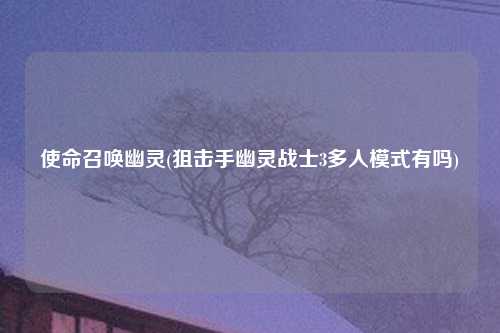 使命召唤幽灵(狙击手幽灵战士3多人模式有吗)