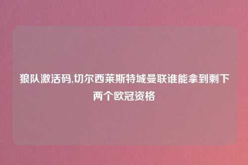 狼队激活码,切尔西莱斯特城曼联谁能拿到剩下两个欧冠资格