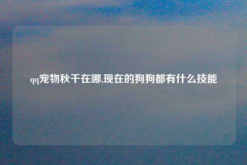 qq宠物秋千在哪,现在的狗狗都有什么技能