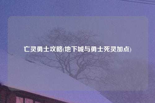 亡灵勇士攻略(地下城与勇士死灵加点)