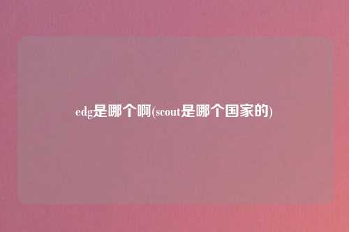 edg是哪个啊(scout是哪个国家的)