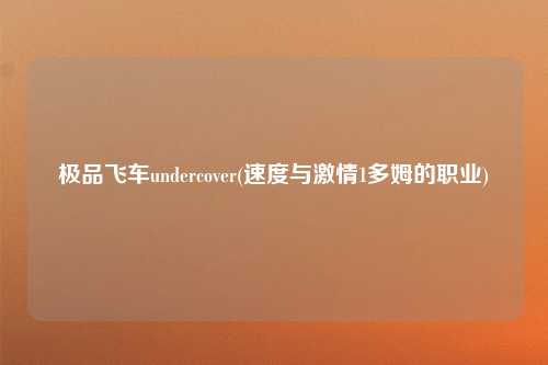 极品飞车undercover(速度与激情1多姆的职业)