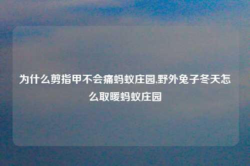 为什么剪指甲不会痛蚂蚁庄园,野外兔子冬天怎么取暖蚂蚁庄园