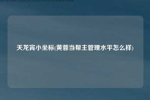 天龙宵小坐标(黄蓉当帮主管理水平怎么样)