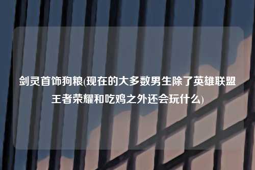 剑灵首饰狗粮(现在的大多数男生除了英雄联盟王者荣耀和吃鸡之外还会玩什么)