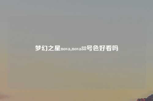 梦幻之星nova,nova88号色好看吗