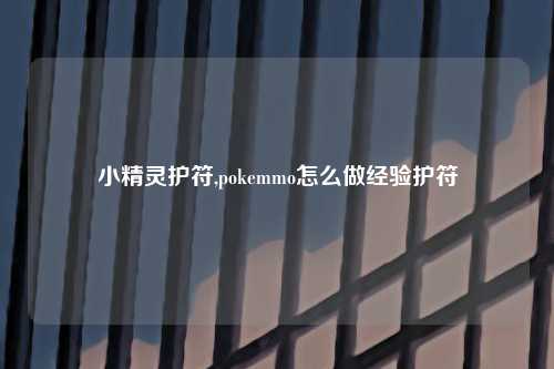 小精灵护符,pokemmo怎么做经验护符