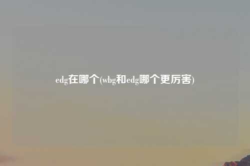 edg在哪个(wbg和edg哪个更厉害)