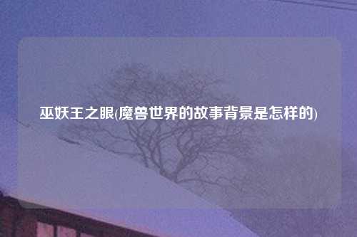 巫妖王之眼(魔兽世界的故事背景是怎样的)
