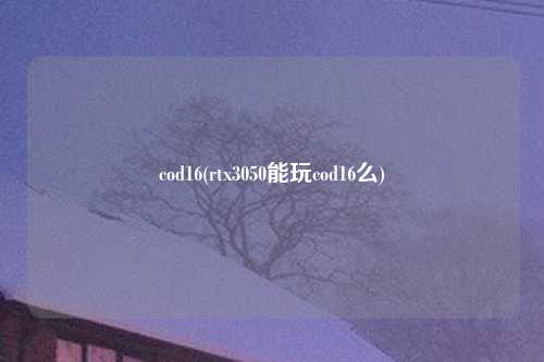 cod16(rtx3050能玩cod16么)