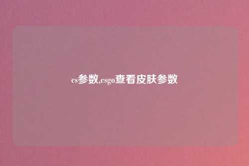 cs参数,csgo查看皮肤参数