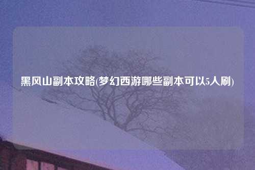 黑风山副本攻略(梦幻西游哪些副本可以5人刷)