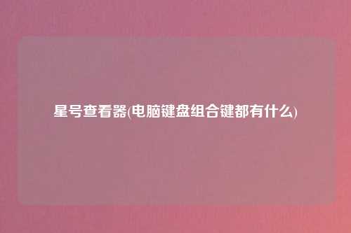 星号查看器(电脑键盘组合键都有什么)